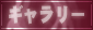 ギャラリー