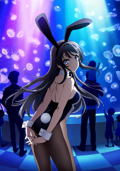 青春ブタ野郎はサンタクロースの夢をみない | アニメ | アニプレックス