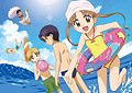 animedia4