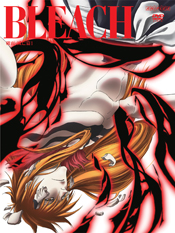 BLEACH ブリーチ 破面・激闘篇 1～4 (全4枚)(全巻セットDVD)｜DVD [レンタル落ち] [DVD] i8my1cf