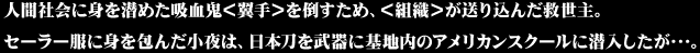 人間社会に身を潜めた吸血鬼＜翼手＞を倒すため、＜組織＞が送り込んだ救世主。セーラー服に身を包んだ小夜は、日本刀を武器に基地内のアメリカンスクールに潜入したが･･･。