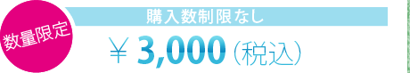 数量限定 購入数制限なし ￥3,000（税込）