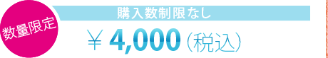 数量限定 購入制限なし ￥4,000（税込）