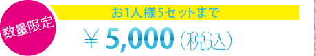 数量限定 数量限定 お1人様5セットまで ￥5,000（税込）