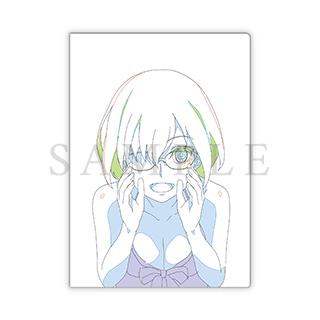 ANIPLEX+