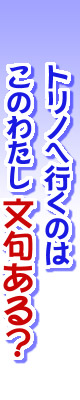 トリノへ行くのはこのわたし　文句ある？