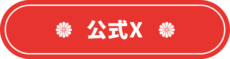 公式X