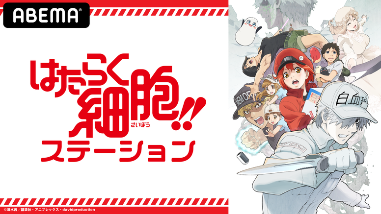 はたらく細胞 Aniplex アニプレックス オフィシャルサイト