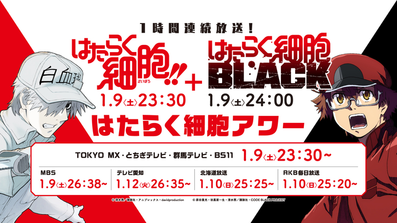 はたらく細胞 Aniplex アニプレックス オフィシャルサイト