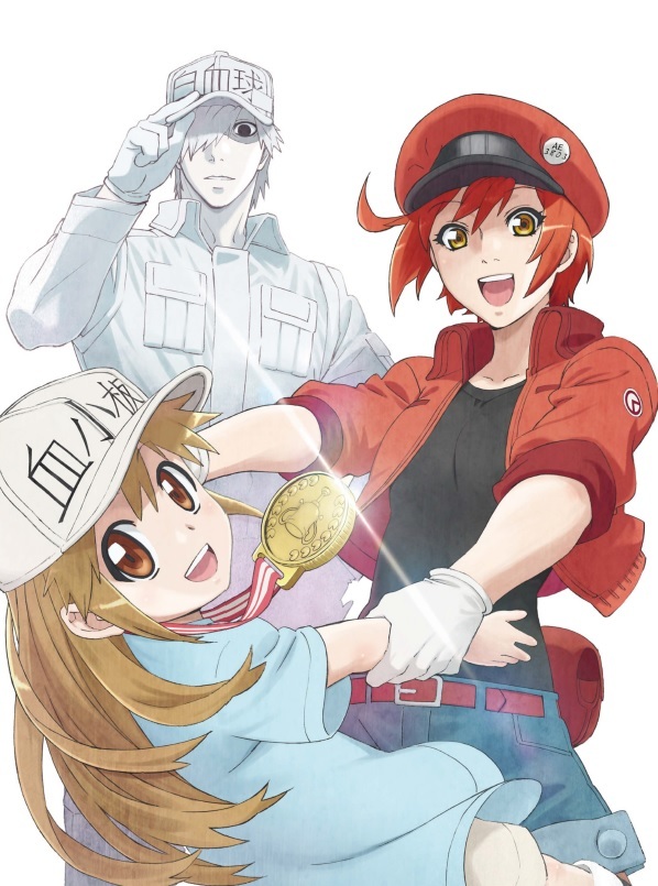 はたらく細胞 Aniplex アニプレックス オフィシャルサイト