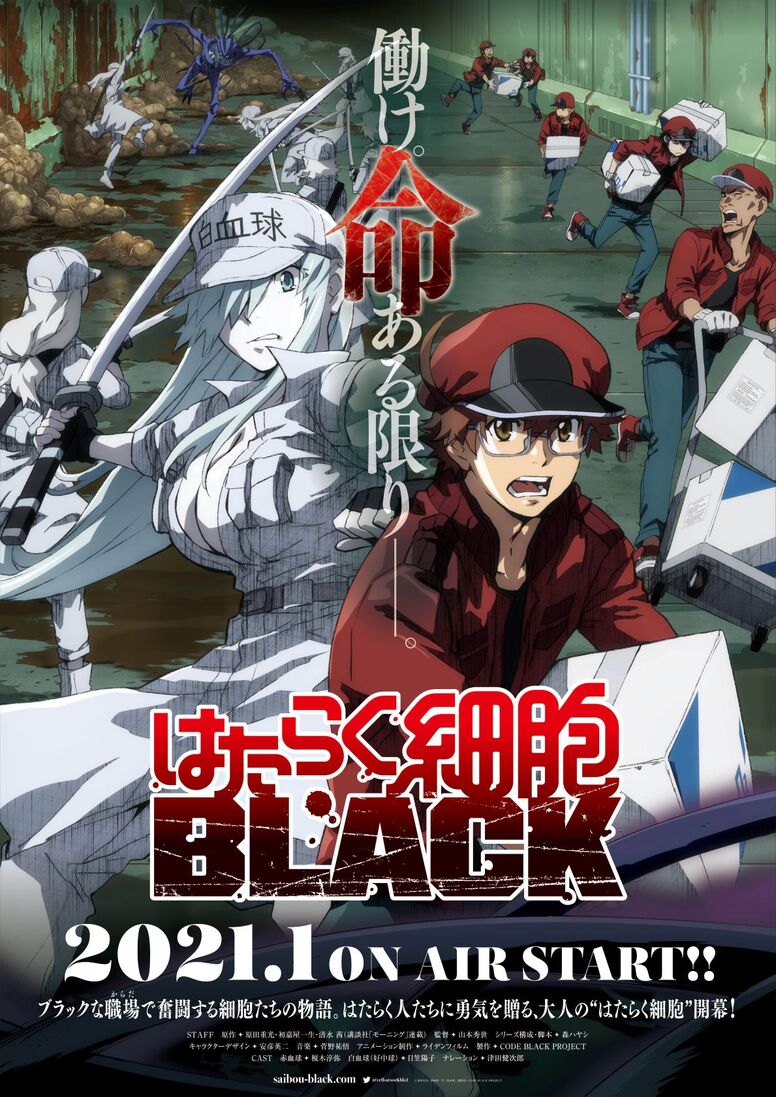 はたらく細胞black Aniplex アニプレックス オフィシャルサイト