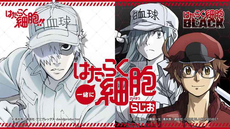 はたらく細胞black Aniplex アニプレックス オフィシャルサイト
