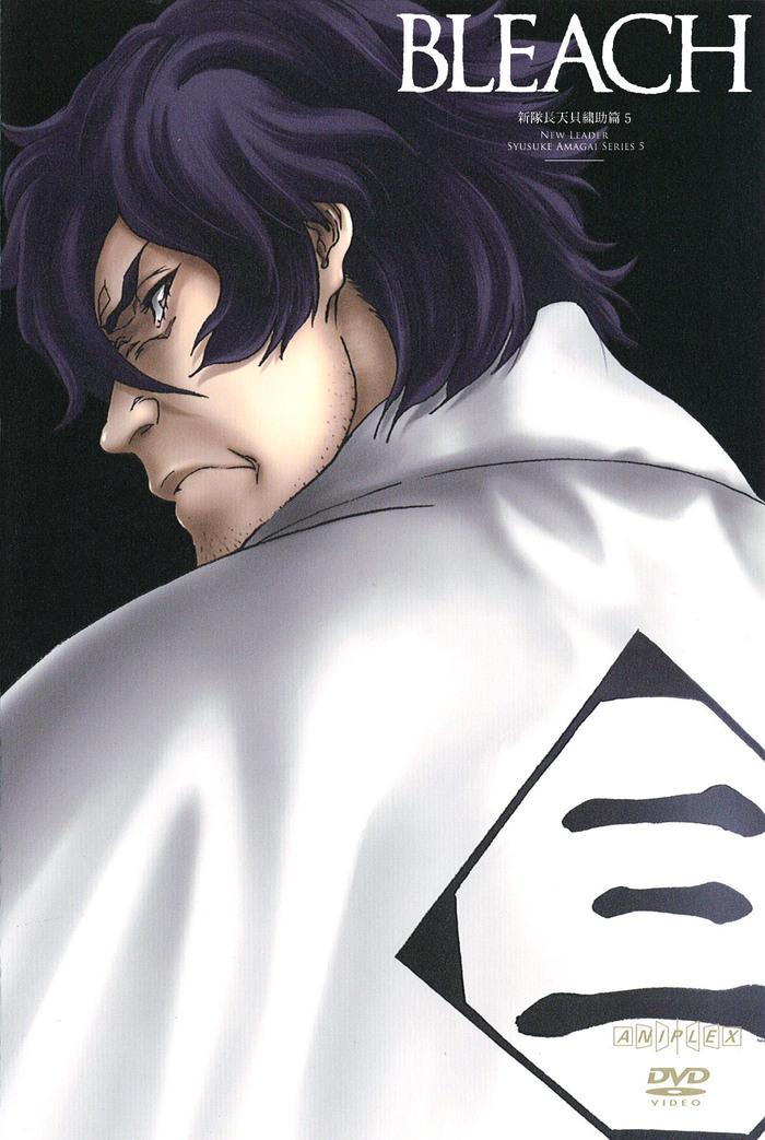 Amazon.com: Bleach Box Set (Vol. 1-21): 9781421526102: Tite