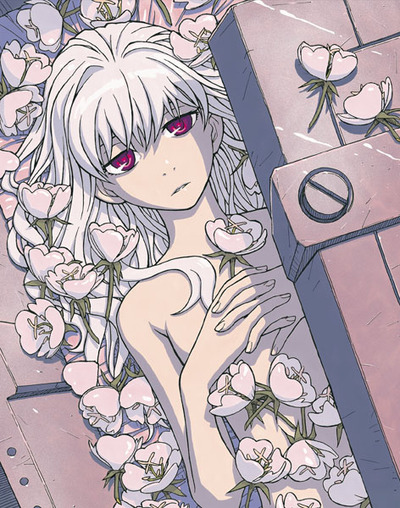 DARKER THAN BLACK-流星の双子 設定