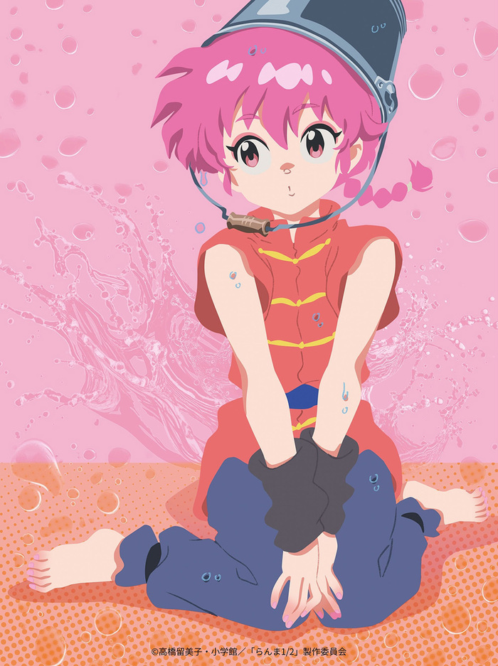らんま 1/2 11 DVD TVアニメ 久遠時右京　シャンプー　高橋留美子 らんま 1/2 11 DVD TVアニメ 久遠時右京 シャンプー 高橋留美子