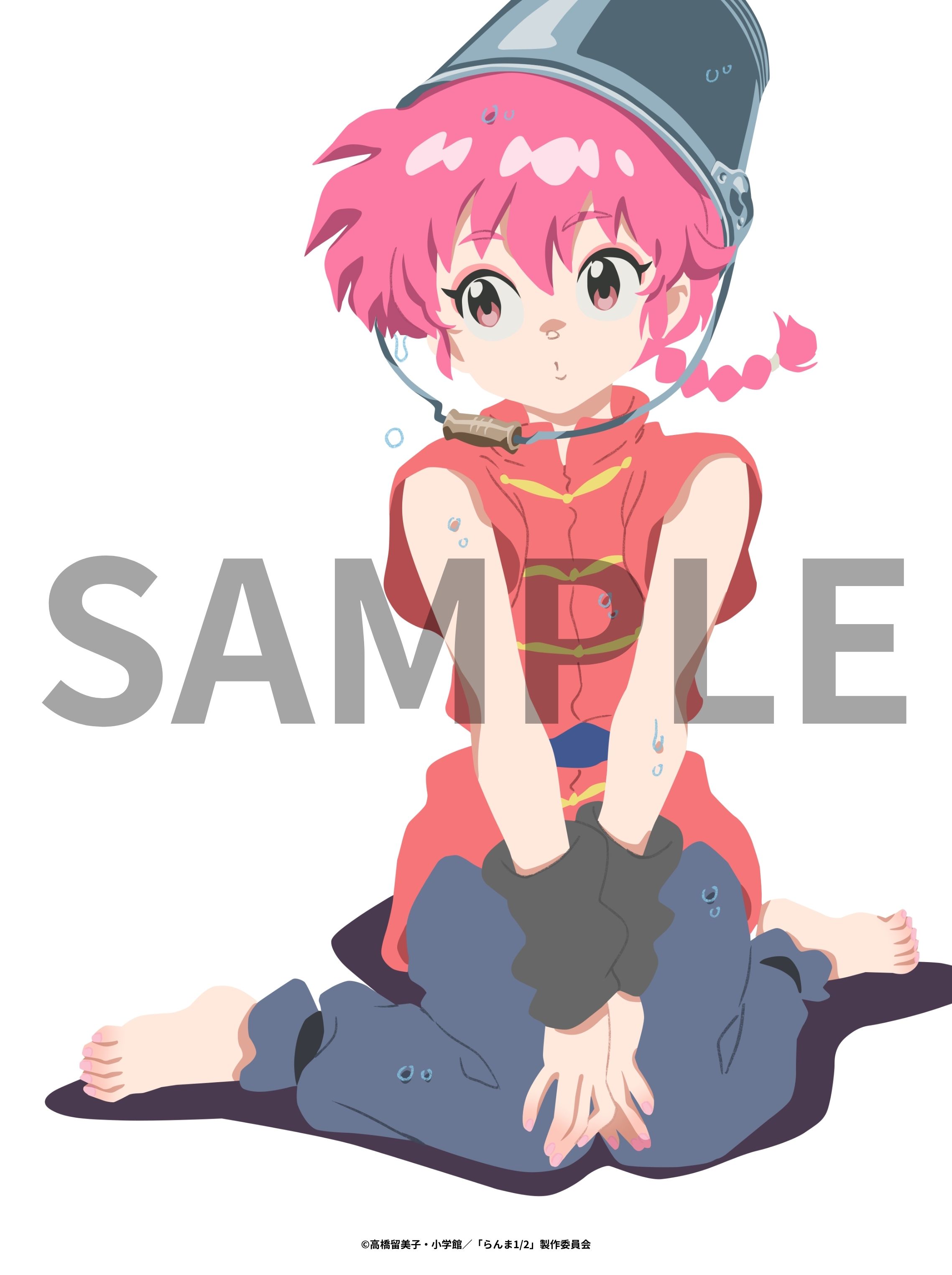 TVアニメ『らんま1/2』Blu-ray＆DVD情報ページ