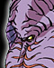イド